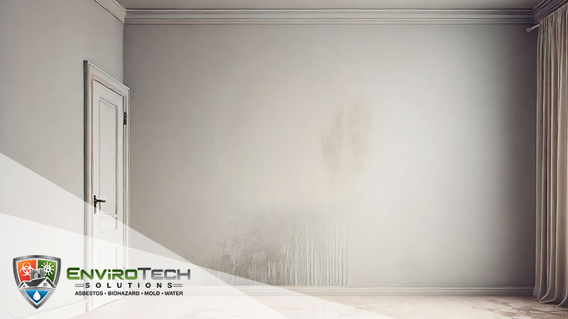 How-to-Spot-Hidden-Water-Damage-in-Your-Home-2